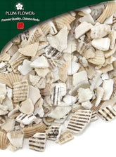 瓦楞子,未硫化的Arca Granosa 贝壳